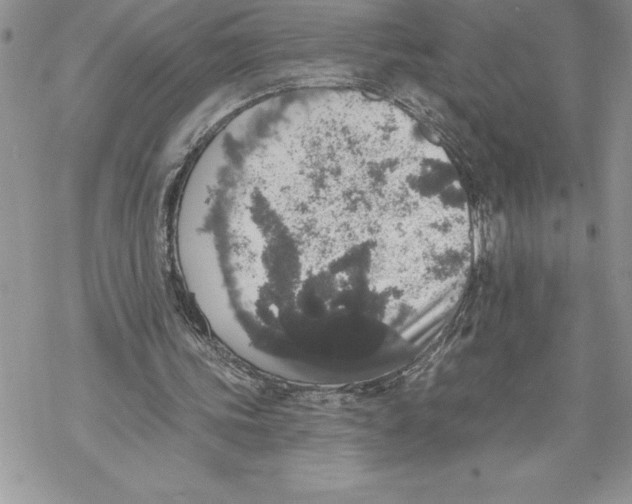 X0000069380339200606021612