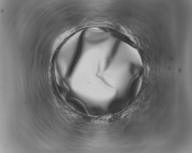 X0000069380340200606021612