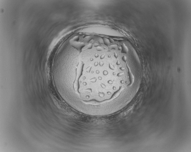 X0000069380343200606021612