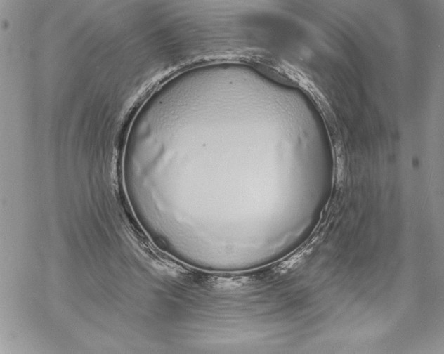 X0000069380346200606021612