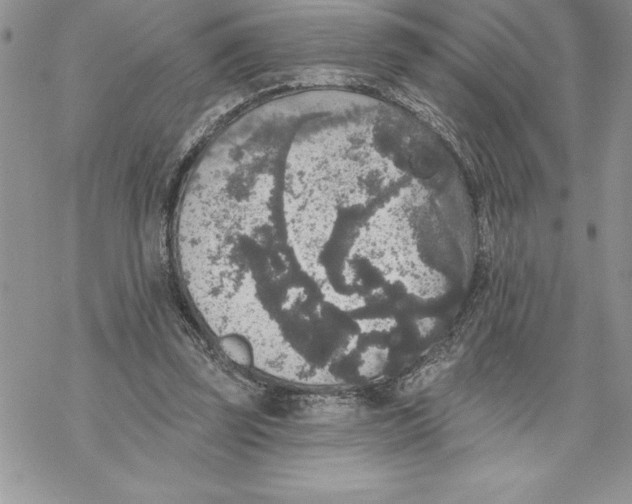 X0000069380347200606021612