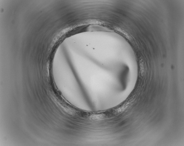 X0000069380350200606021612