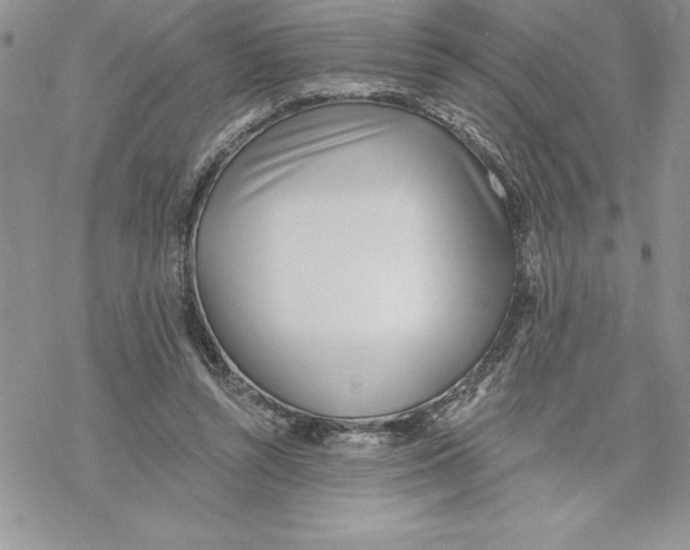 X0000069380352200606021612