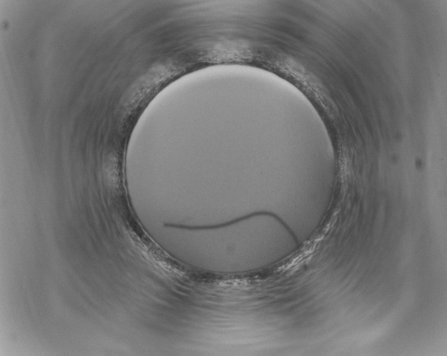 X0000069380353200606021612