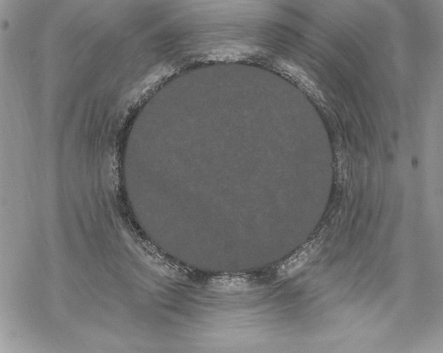 X0000069380354200606021612