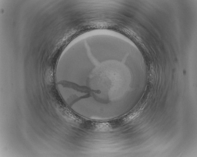 X0000069380355200606021612