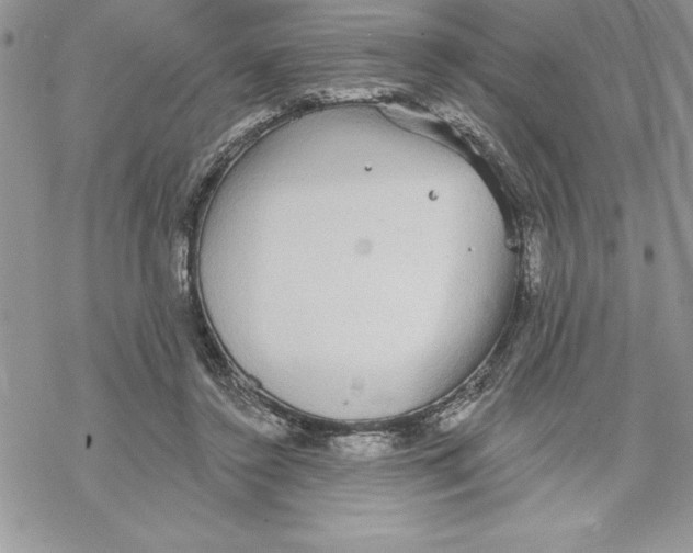 X0000069380356200606021612