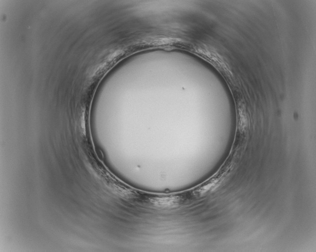 X0000069380358200606021612