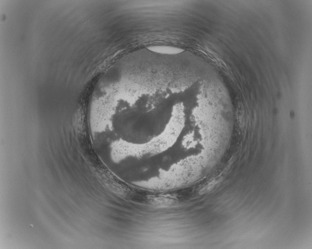 X0000069380359200606021612