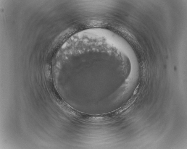 X0000069380361200606021612