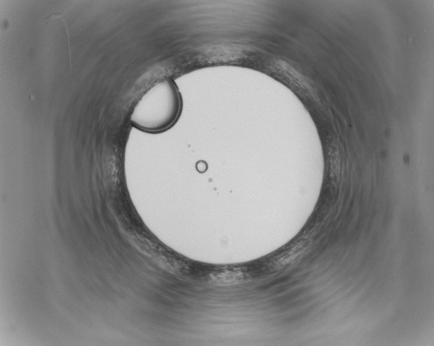 X0000069380362200606021612