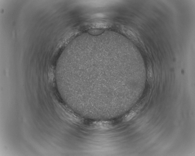 X0000069380367200606021613