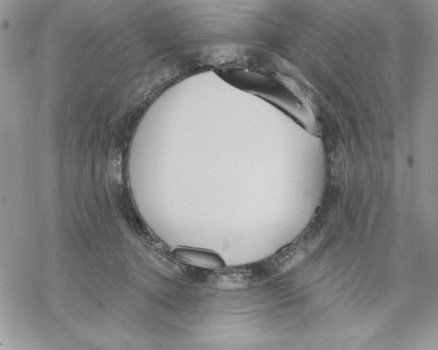 X0000069380368200606021613