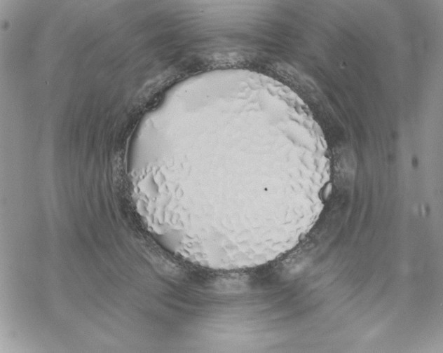 X0000069380369200606021613