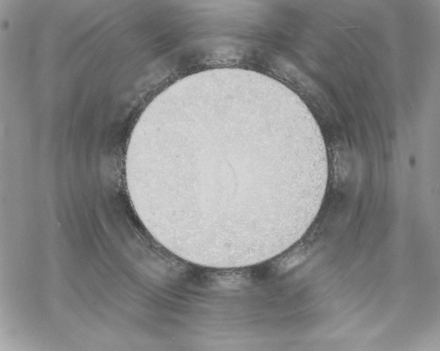 X0000069380370200606021613