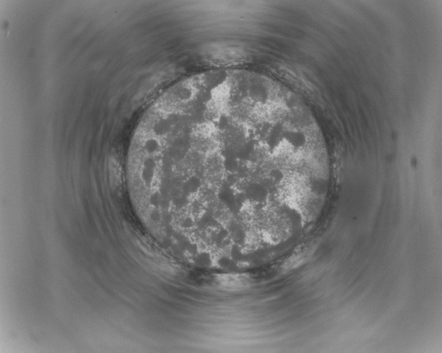 X0000069380371200606021613