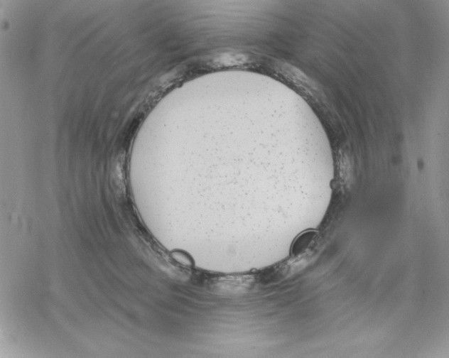 X0000069380373200606021613