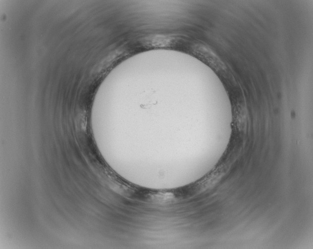 X0000069380374200606021613