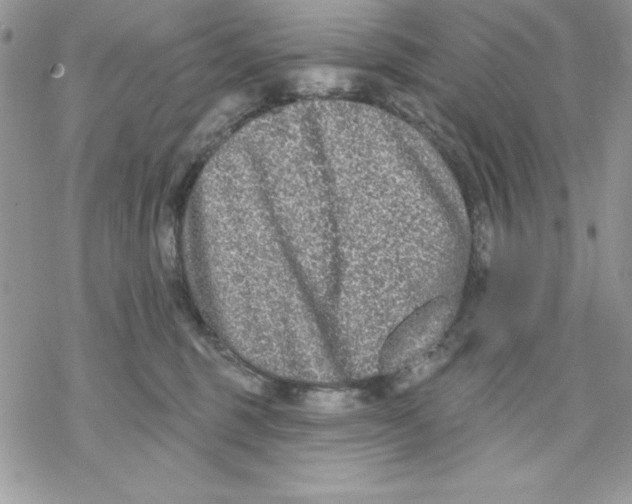 X0000069380375200606021613