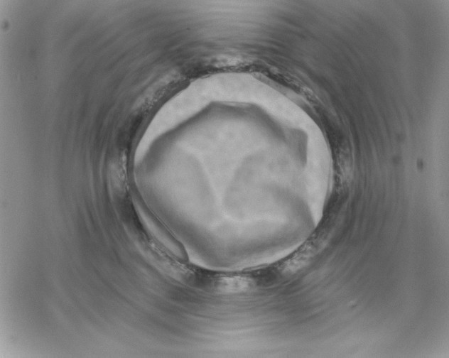 X0000069380376200606021613