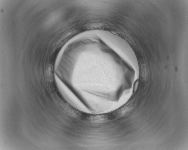 X0000069380378200606021613