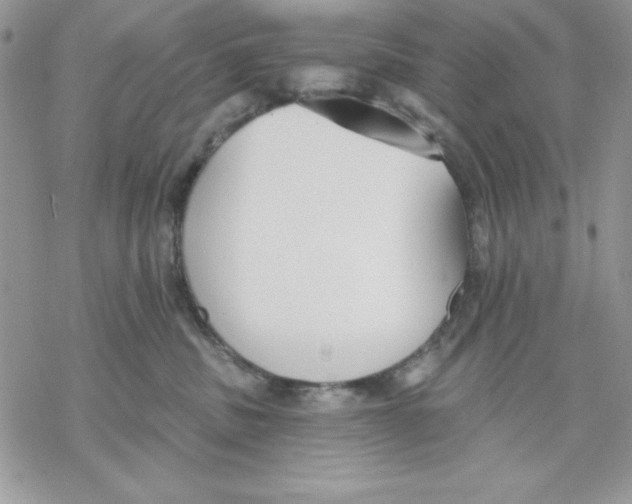 X0000069380379200606021613