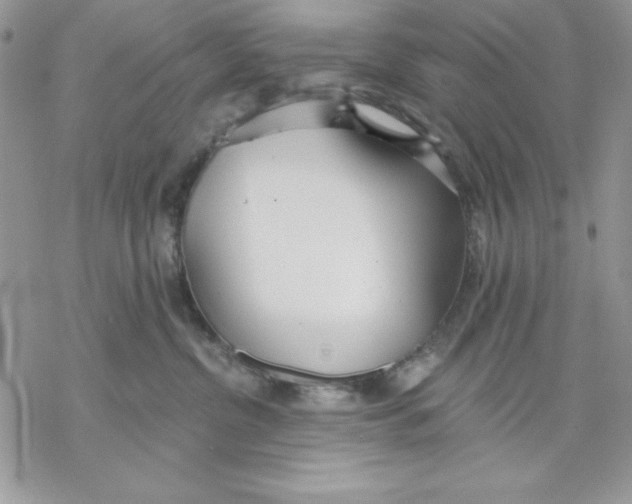 X0000069380380200606021613