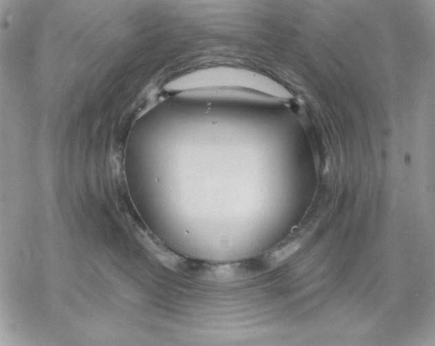 X0000069380382200606021613