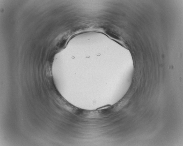 X0000069380384200606021613