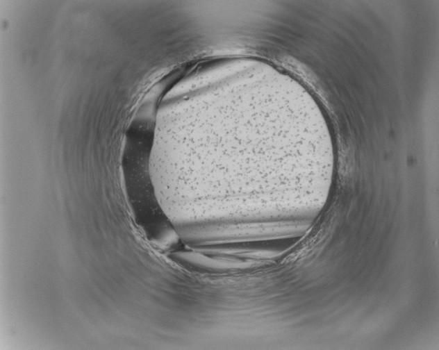 X0000069380385200606021612