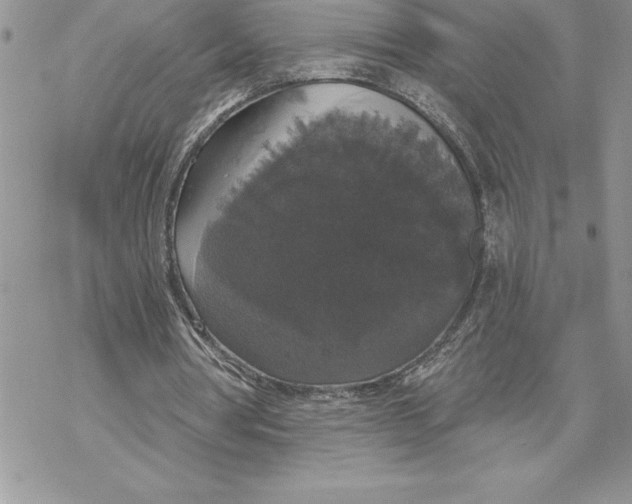 X0000069380386200606021612