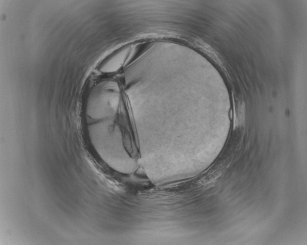 X0000069380387200606021612