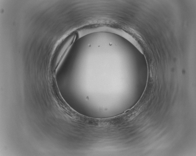 X0000069380388200606021612