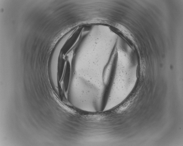 X0000069380389200606021612