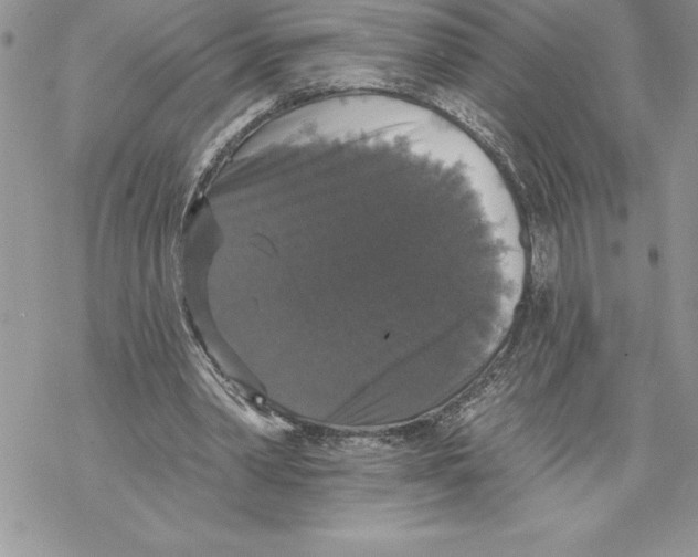 X0000069380390200606021612