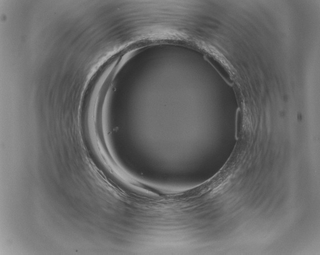 X0000069380391200606021612