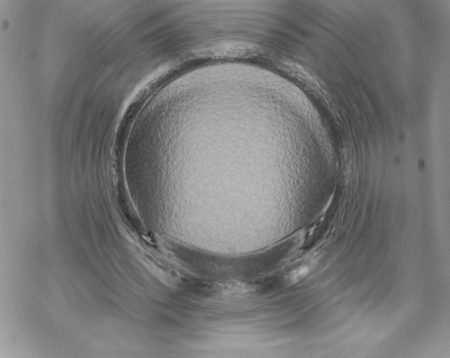 X0000069380392200606021612