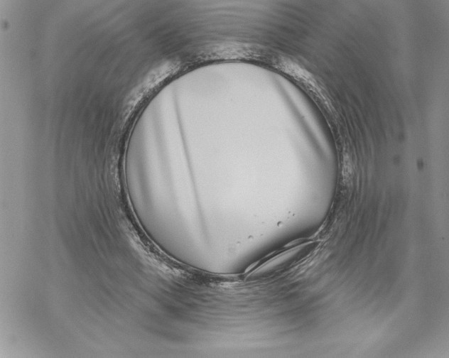 X0000069380394200606021612