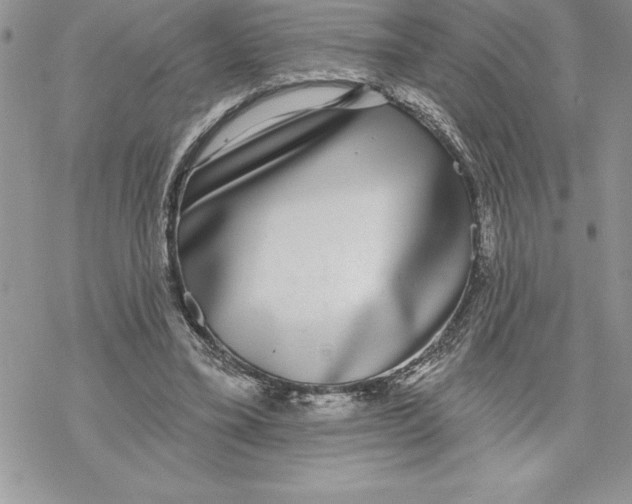 X0000069380395200606021612