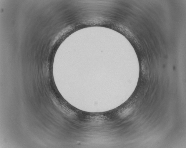 X0000069380396200606021612