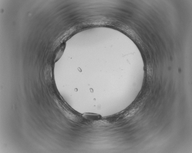 X0000069380397200606021612