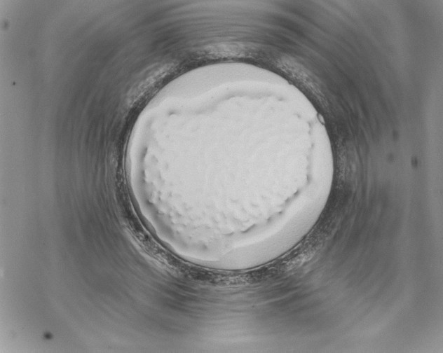 X0000069380398200606021612