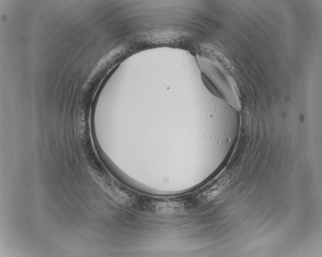 X0000069380400200606021612