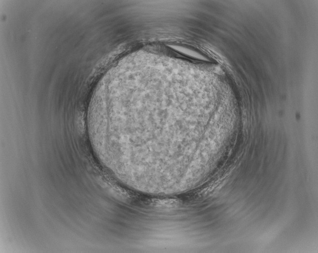 X0000069380401200606021612