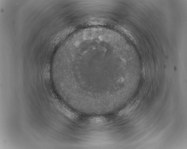 X0000069380402200606021612