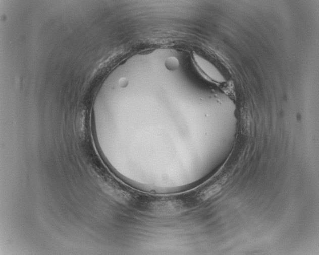 X0000069380404200606021612