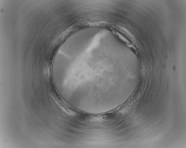 X0000069380405200606021612