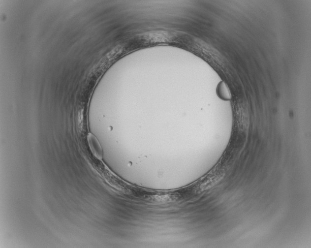 X0000069380406200606021612