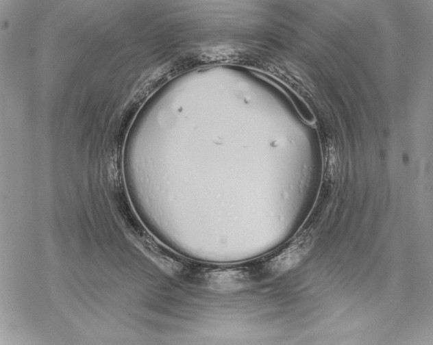 X0000069380408200606021612