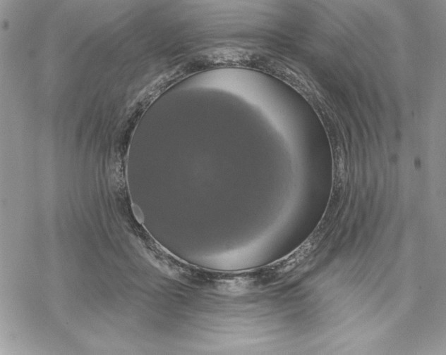 X0000069380411200606021612